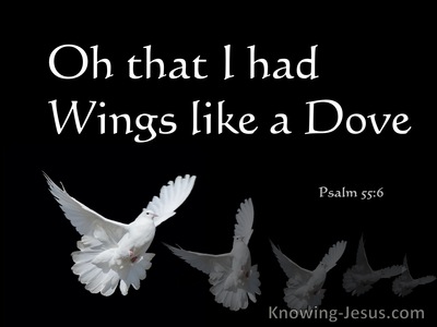 Psalm 55:6 Oh That I Had Wings Like A Dove (white)